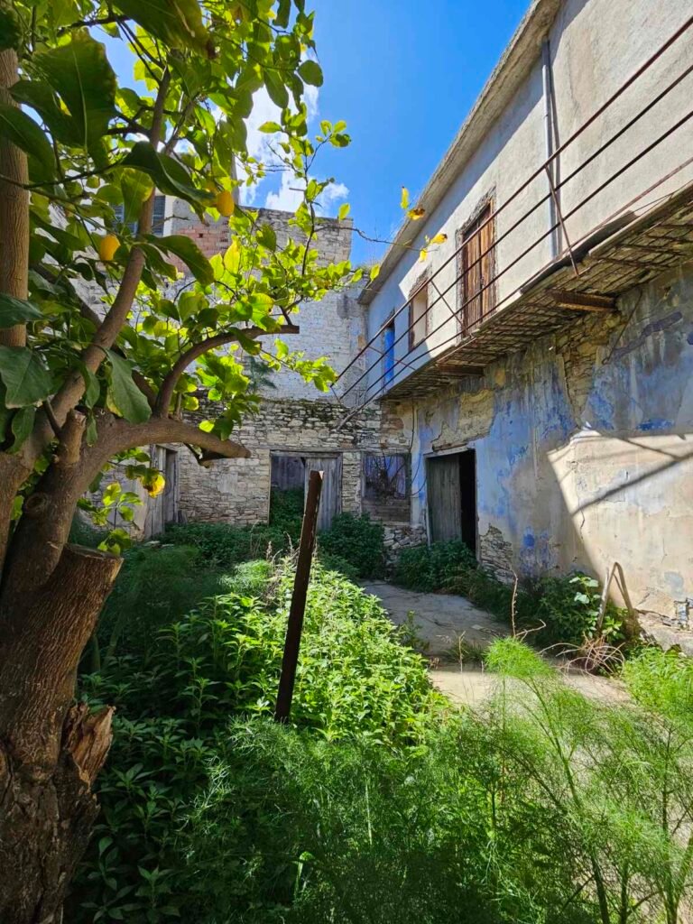 viber_image_2026-02-26_18-58-38-406