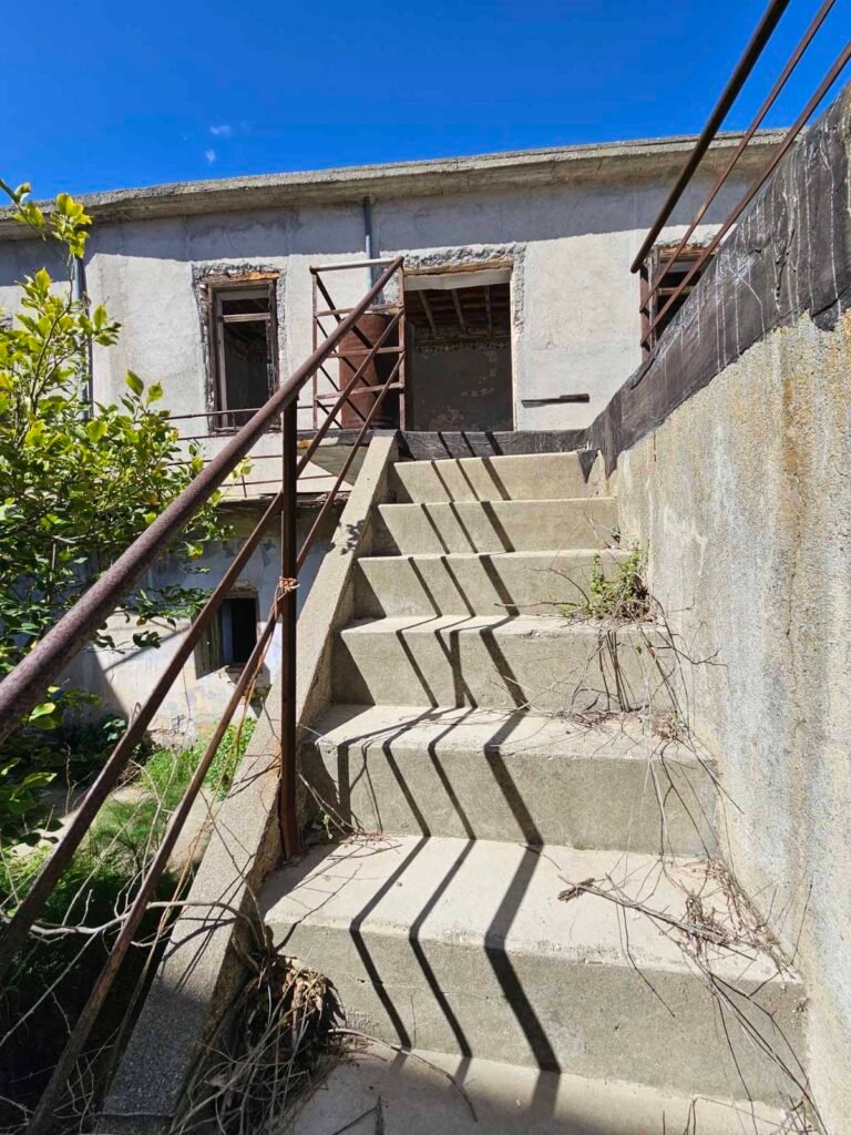 viber_image_2026-02-26_18-58-38-946