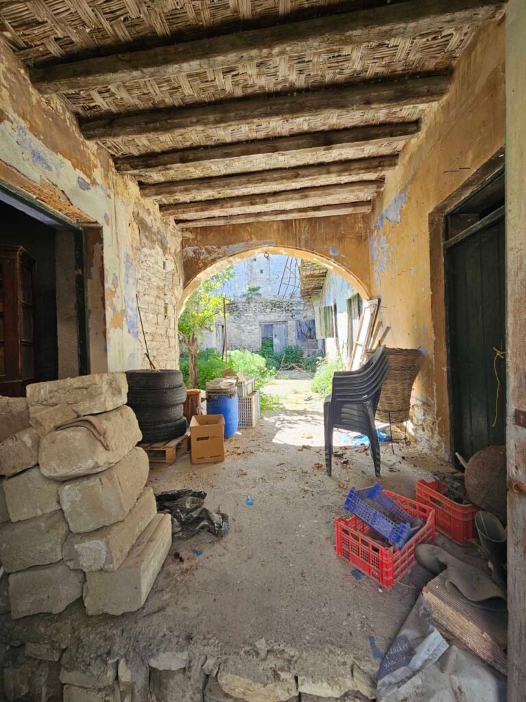 viber_image_2026-02-26_18-58-39-252