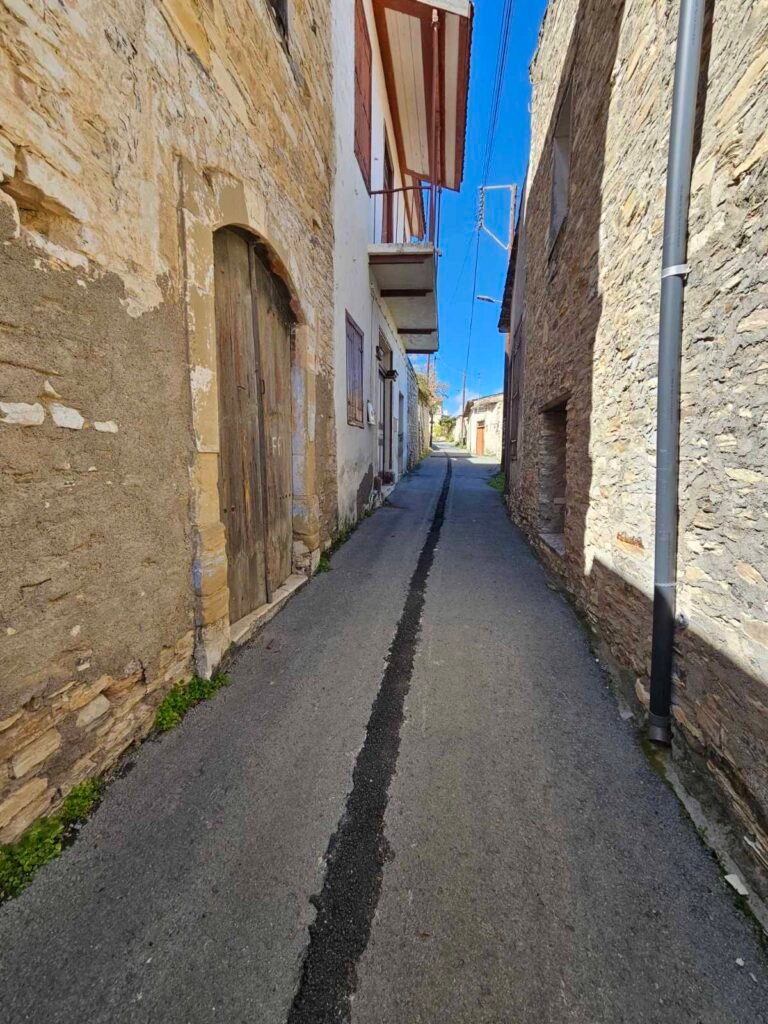 viber_image_2026-02-26_18-58-39-396