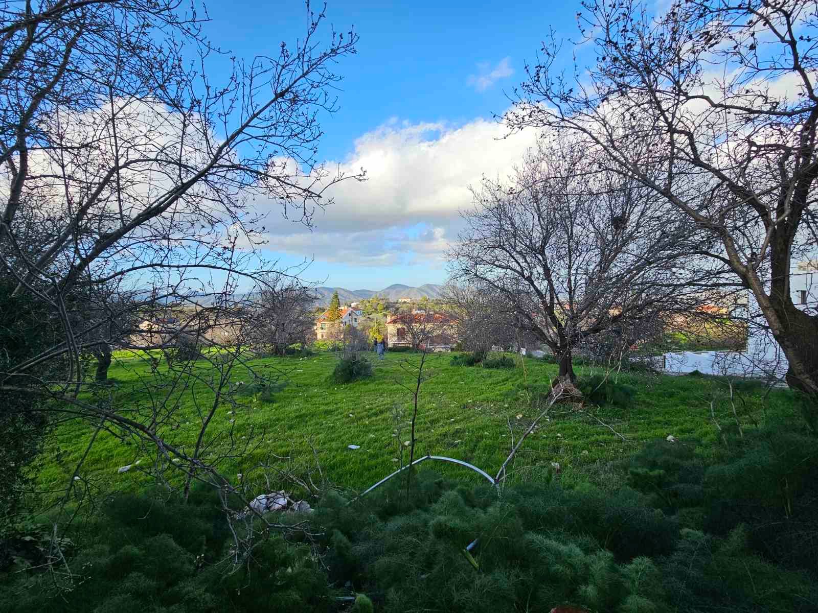 viber_image_2026-02-25_11-48-50-845