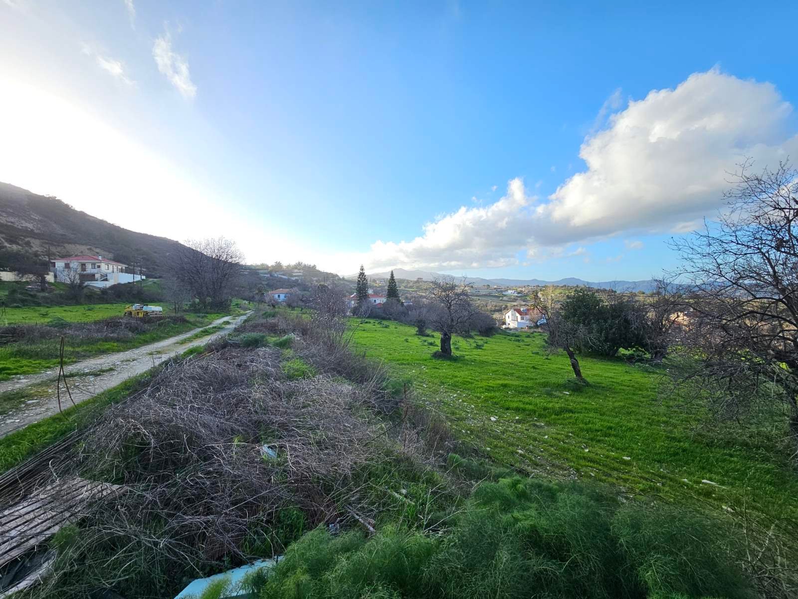 viber_image_2026-02-25_11-48-50-860