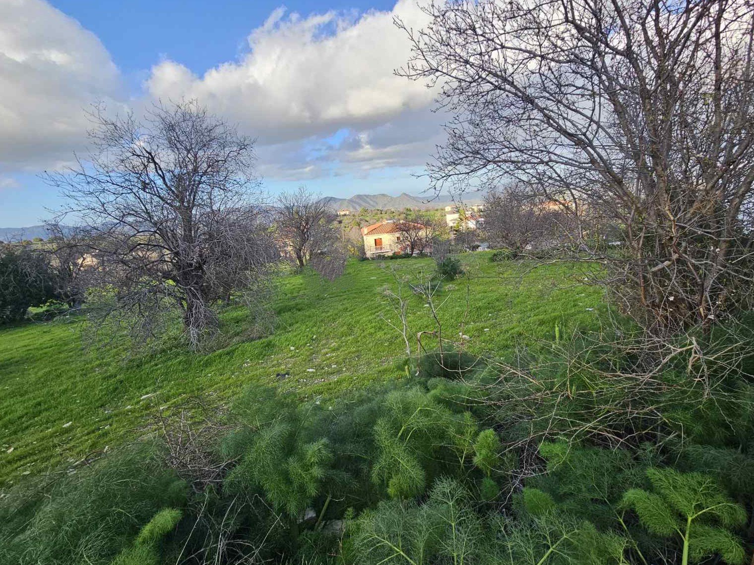 viber_image_2026-02-25_11-48-50-892