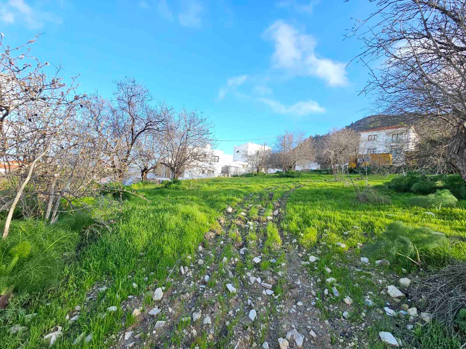 viber_image_2026-02-25_11-48-50-914