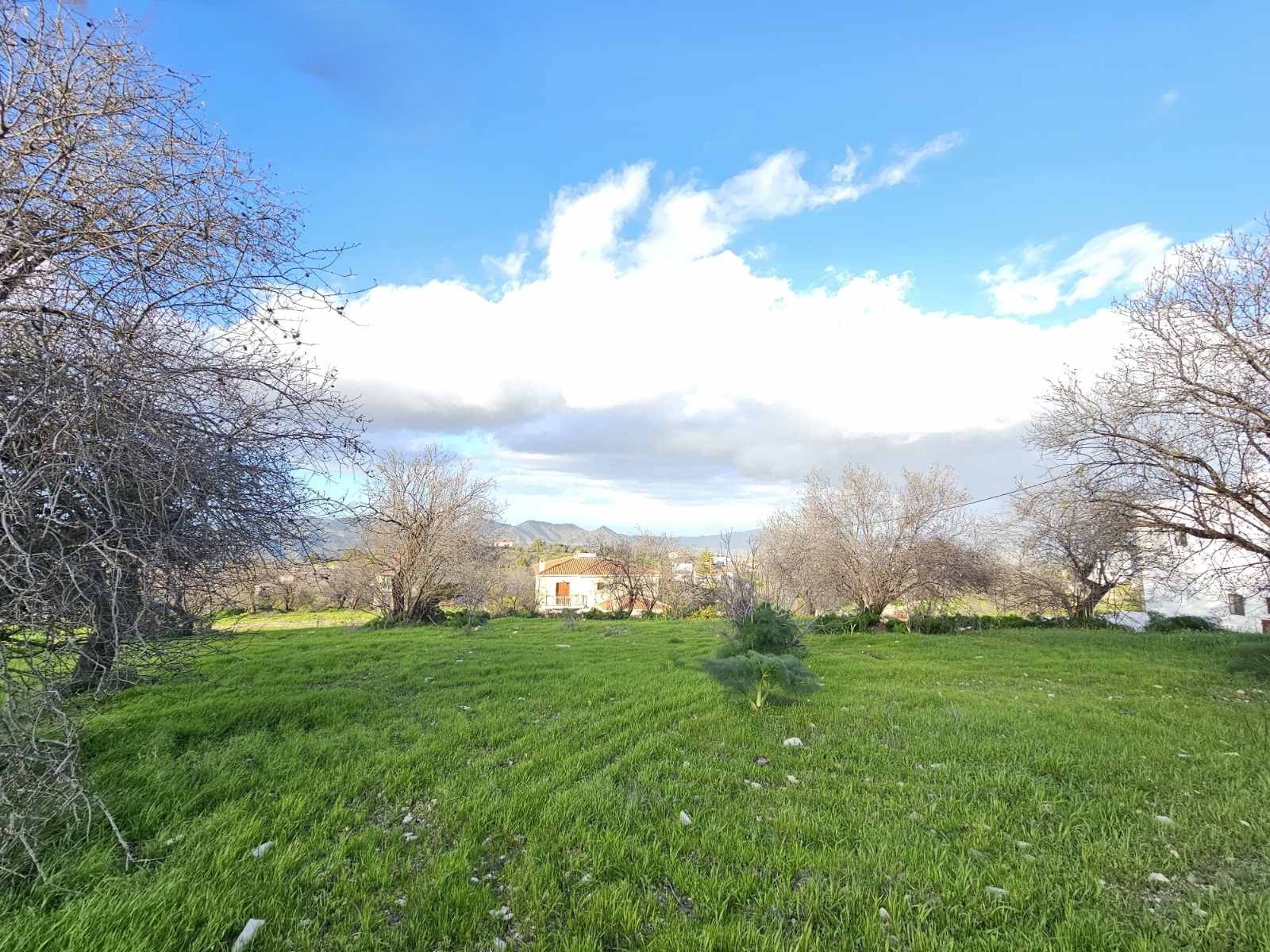 viber_image_2026-02-25_11-48-50-922