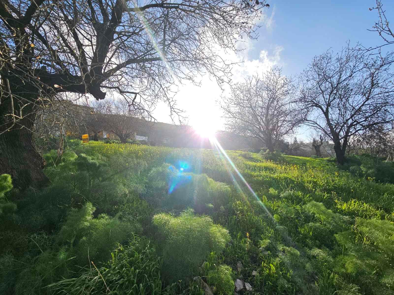 viber_image_2026-02-25_11-48-50-936