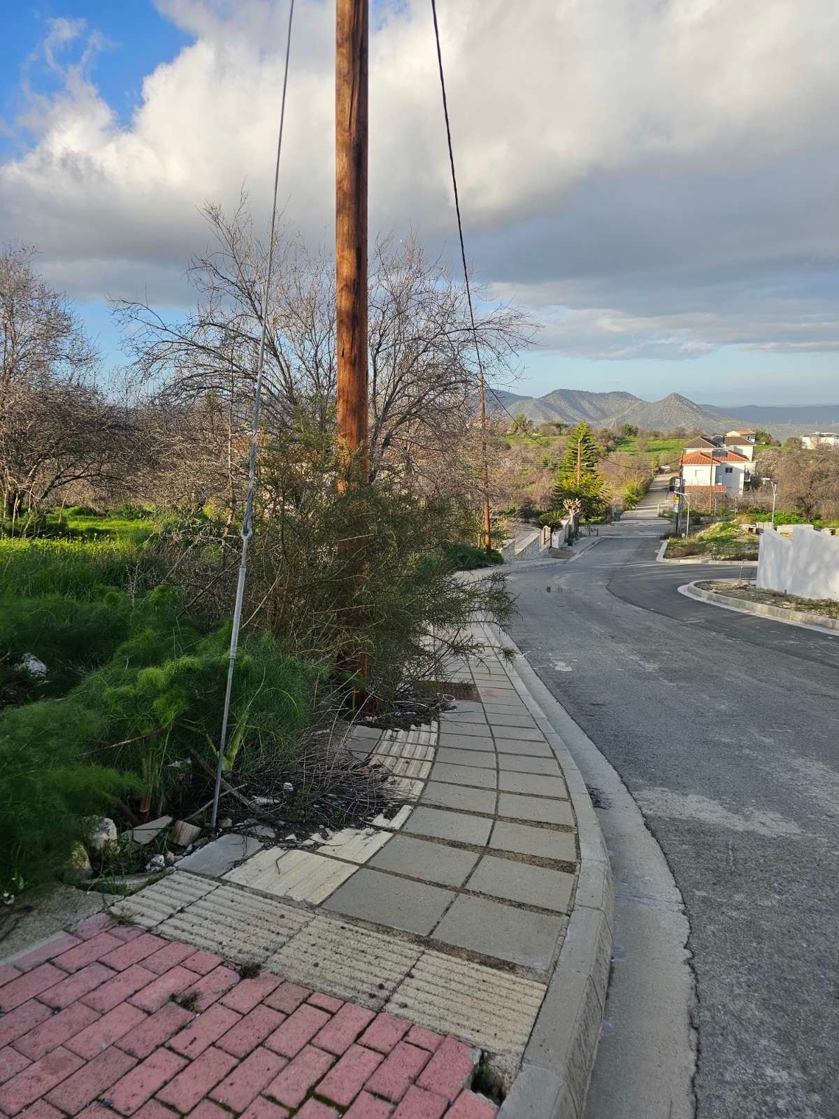 viber_image_2026-02-25_11-48-51-035