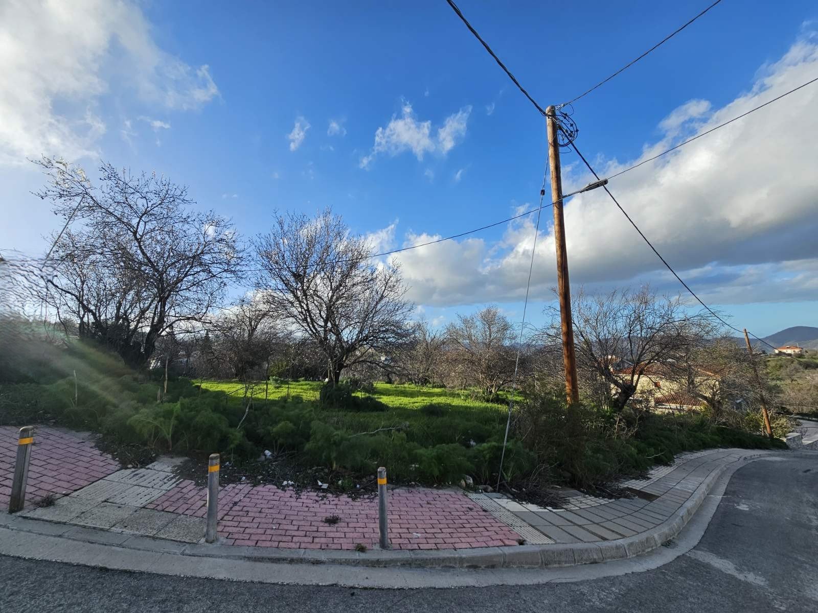 viber_image_2026-02-25_11-48-51-331